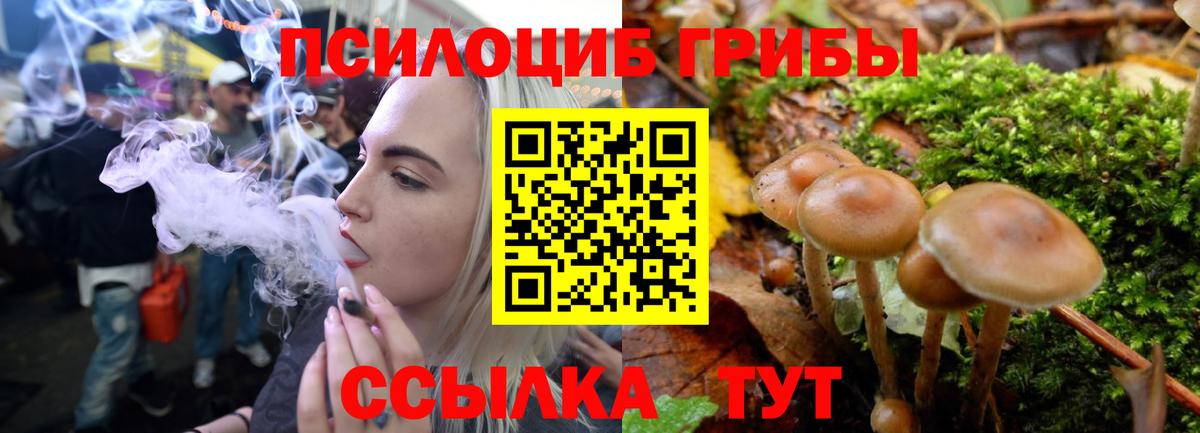 Псилоцибиновые грибы Psilocybine cubensis Гай