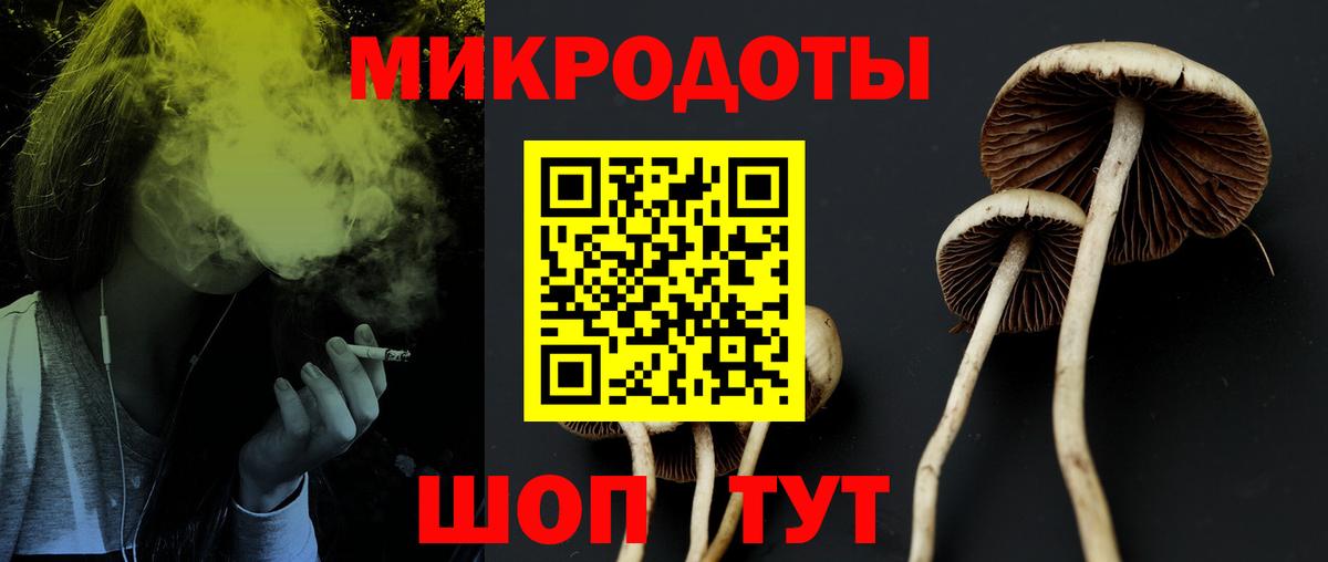 Гай  Галлюциногенные грибы ЛСД  Вход с VPN 